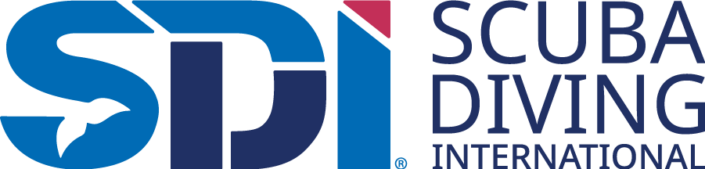 SDI_Combo_Wordmark_Right_Color_RGB_v0824-705x169